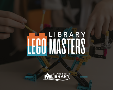 Library LEGO Masters